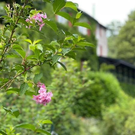 Les Grillons Du Morvan Hotel Montsauche-les-Settons Luaran gambar