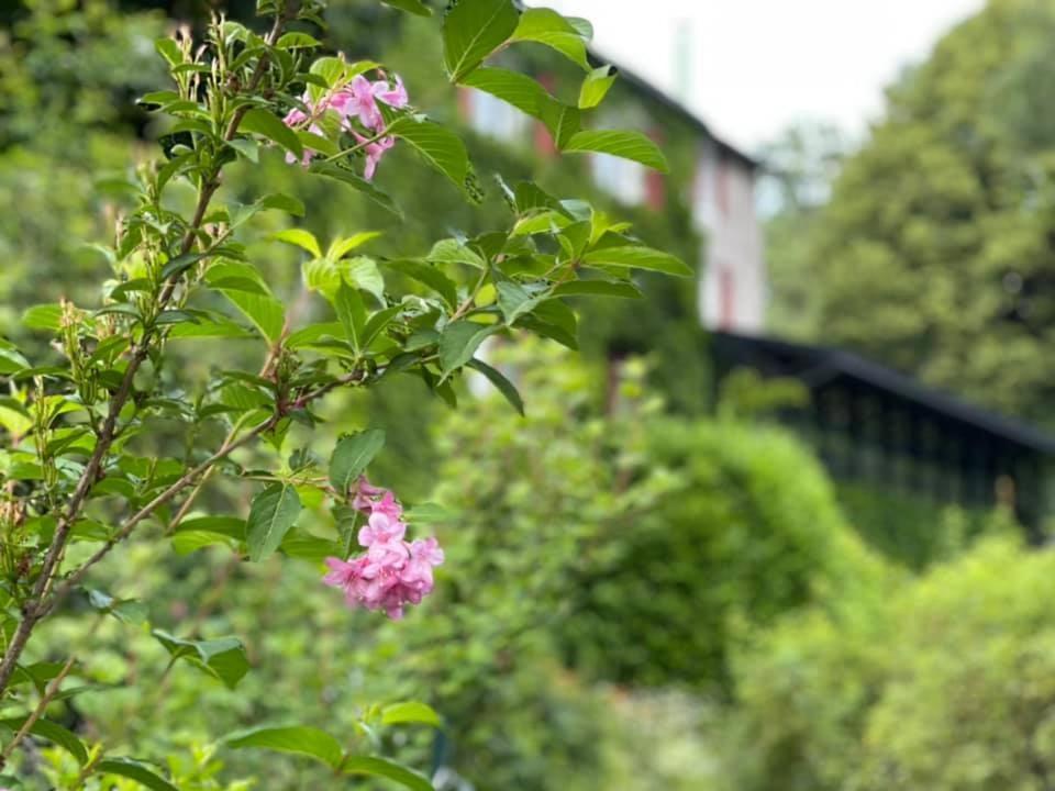 Les Grillons Du Morvan Hotel Montsauche-les-Settons Luaran gambar